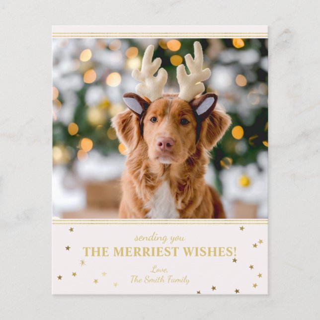 Foto de Natal de Orçamento (Frente)