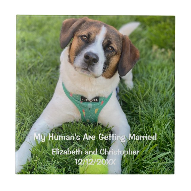 Foto de noivado Meu Dono Está Se Casando (Frente)