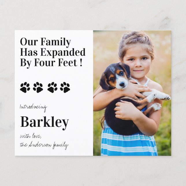 Foto de Orçamento Cachorro Puppy Novo Anúncio de P (Frente)