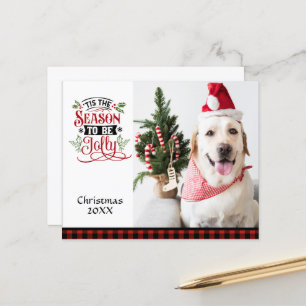 Foto de Orçamento Esta é a Estação de Natal Jolly