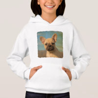 Foto De Pet De Cachorro Francês, Cachorro-Branco -