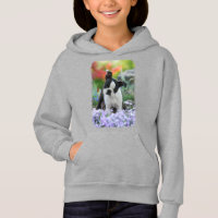 Foto de "Pet Pet" Cute Dog em Boston Terrier -