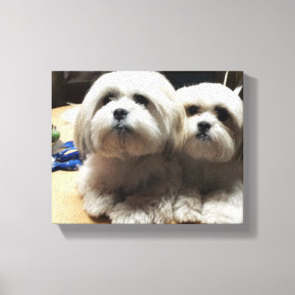 Foto de quebra de canvas