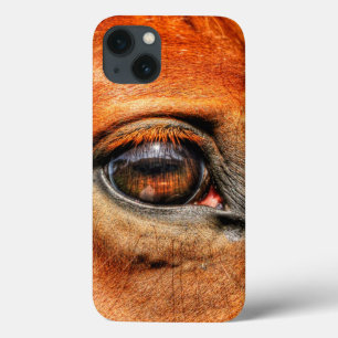 Foto de Red Dun Eye Equine para amantes de cavalos