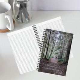 Foto de trilha florestal com citação de John Muir