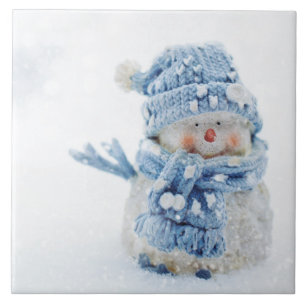 Foto de um bonitão de neve no inverno - Natal