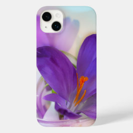 Foto de um Bonito Primavera-Crocus Roxo