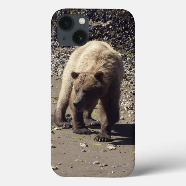 Foto de Vida Selvagem de Urso Grizzly Selvagem Cam (Verso)