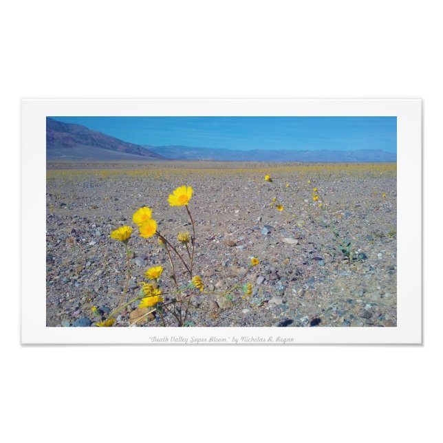 Foto "Death Valley Super Bloom" Natureza (Frente)