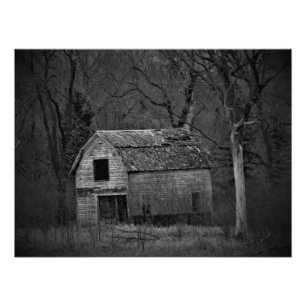 Foto "Decomposição"