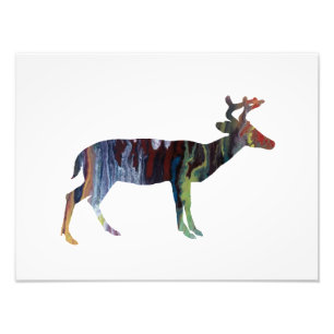 Foto Deer