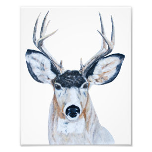 Foto Deer Head in Pencil