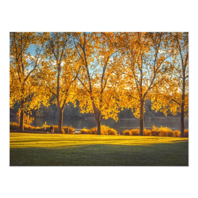 Foto DeerLake em outono (Frente)