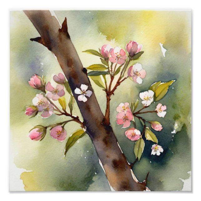 Foto Delicar Cereja Blossomo Watercolor Pintura (Frente)