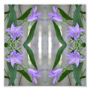 Foto Delicar Flores Roxas Espelho Abstrato 8x8