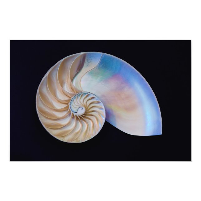 Foto Dentro O Nautilus (Frente)