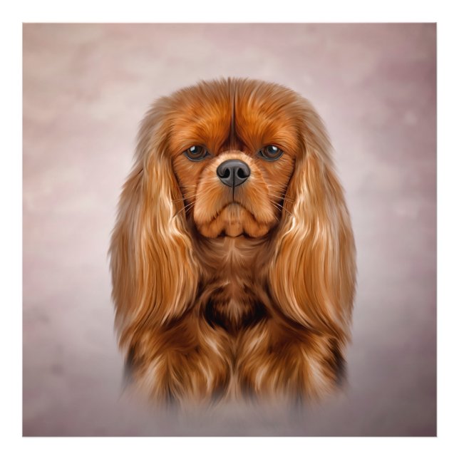 Foto Desenhando Cavalier King Charles Spaniel (Frente)
