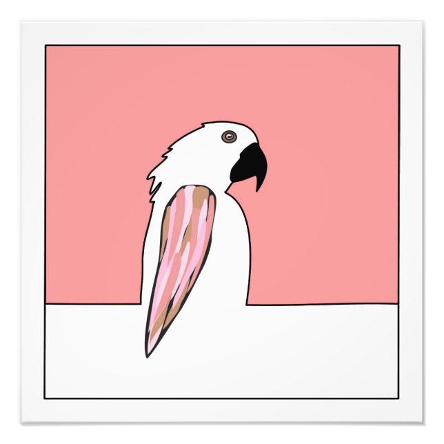 Foto Desenho da linha do papagaio (Frente)