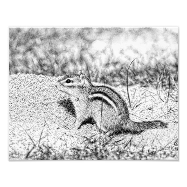 Foto Desenho do Chipmunk (Frente)