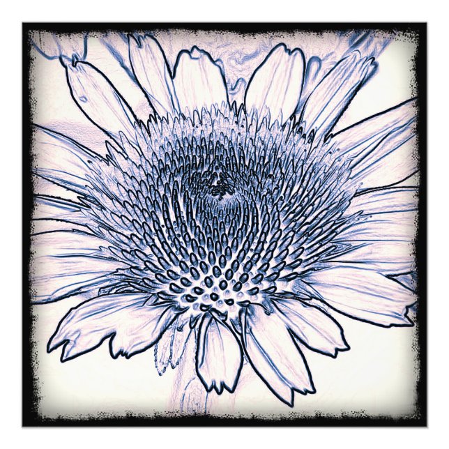 Foto Desenho do Coneflower (Frente)