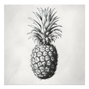 Foto Desenho Monocromático do ananás