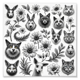 Foto Desenhos e imagens