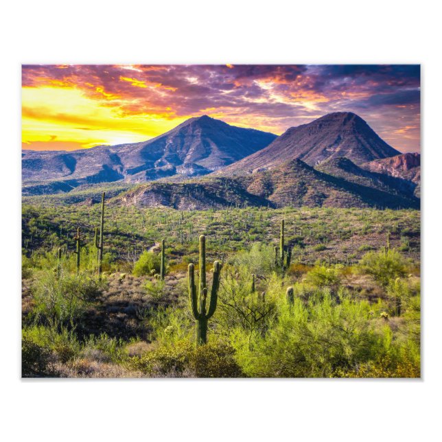 Foto Deserto 2124-2-Arizona ao Sol com Cactus (Frente)