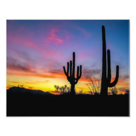 Foto Deserto de 2034-2-Arizona ao Sol com Cactus