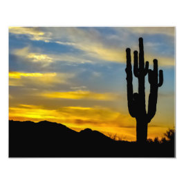 Foto Deserto de Arizona 1996-2 ao Sol com Saguaros