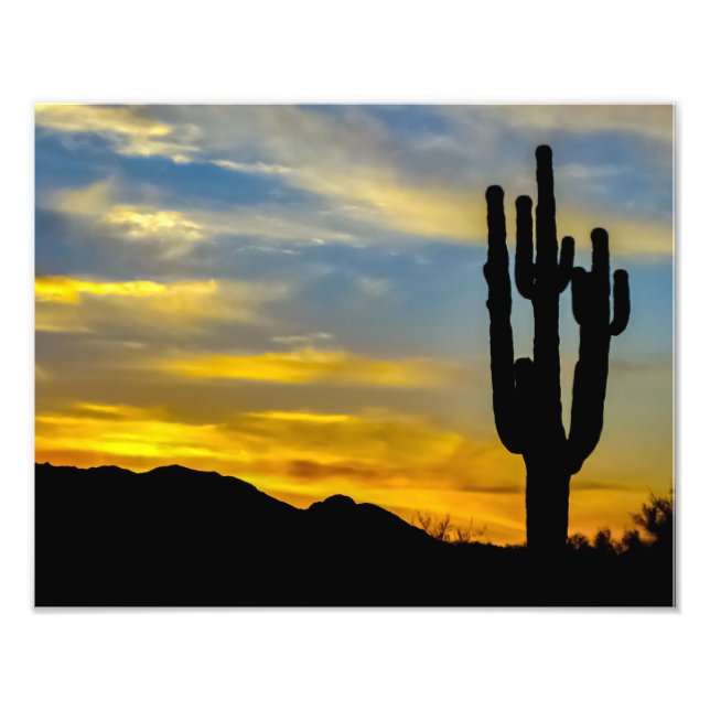 Foto Deserto de Arizona 1996-2 ao Sol com Saguaros (Frente)