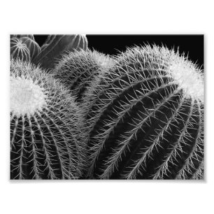 Foto Deserto Escuro.