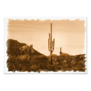 Foto deserto no sepia