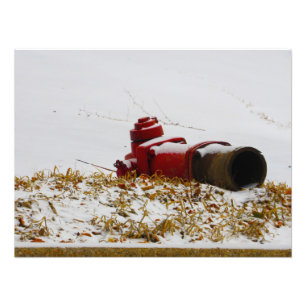 Foto "Desidratado"