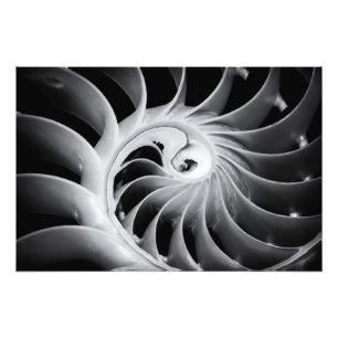 Foto Design da natureza