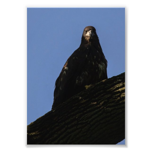 Foto Destaque (Frente)