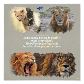 Foto Destiny or opportunity?