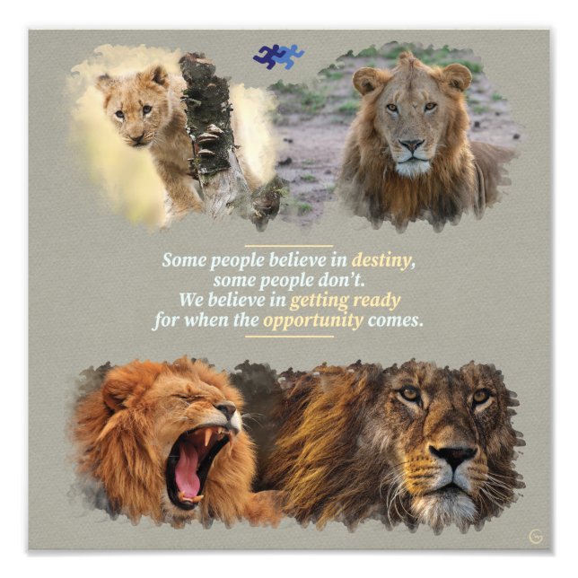 Foto Destiny or opportunity? (Frente)