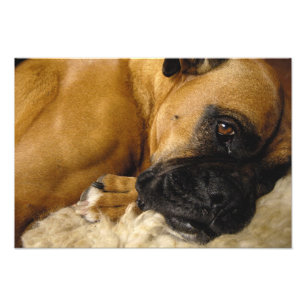 Foto Detalhe de um pugilista