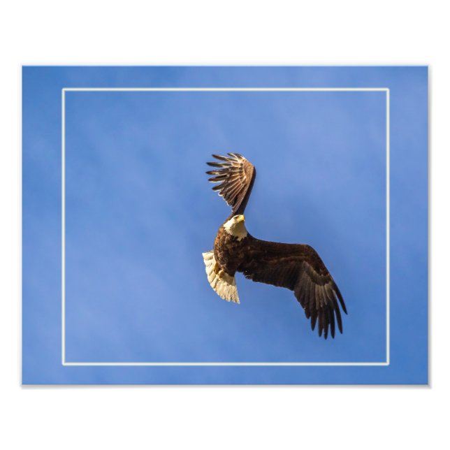 Foto Determinação (Frente)