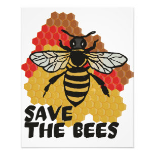Foto Dia da Terra, Salve As Abelhas