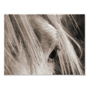 Foto Dia desarrumado da juba