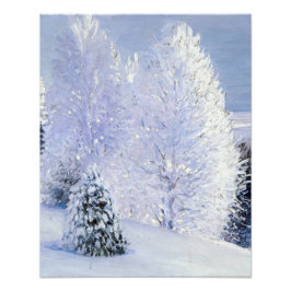 Foto Dia do Sol no Rio Dvina | Aleksandr Borisov