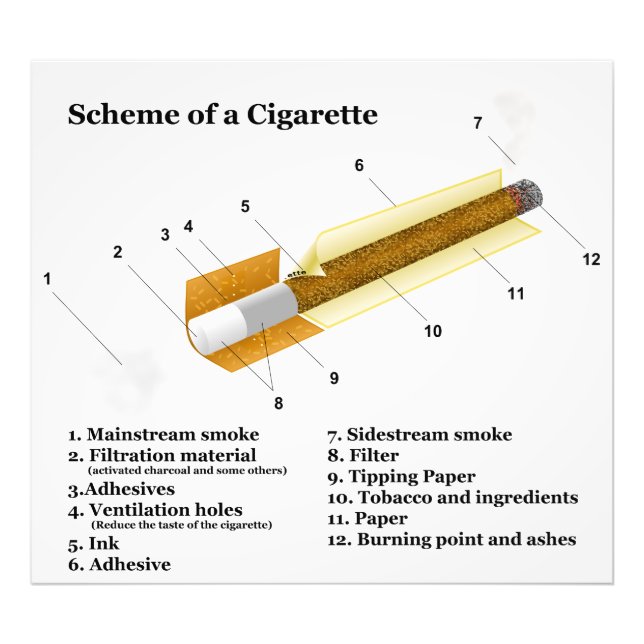 Foto Diagrama de Cigarro Fumante (Frente)