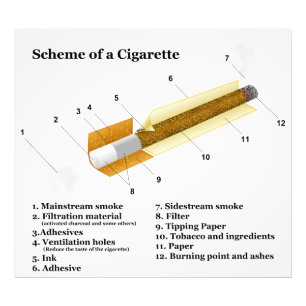 Foto Diagrama de um tabagismo do tabaco