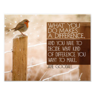 Foto Diferença que você quer fazer