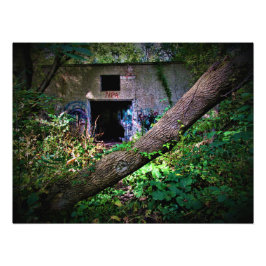 Foto "Digite se você for CrAzY o suficiente"