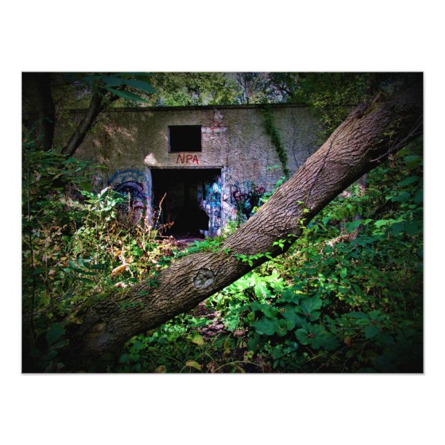 Foto "Digite se você for CrAzY o suficiente" (Frente)