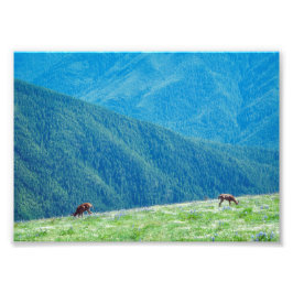 Foto Dinheiro das montanhas