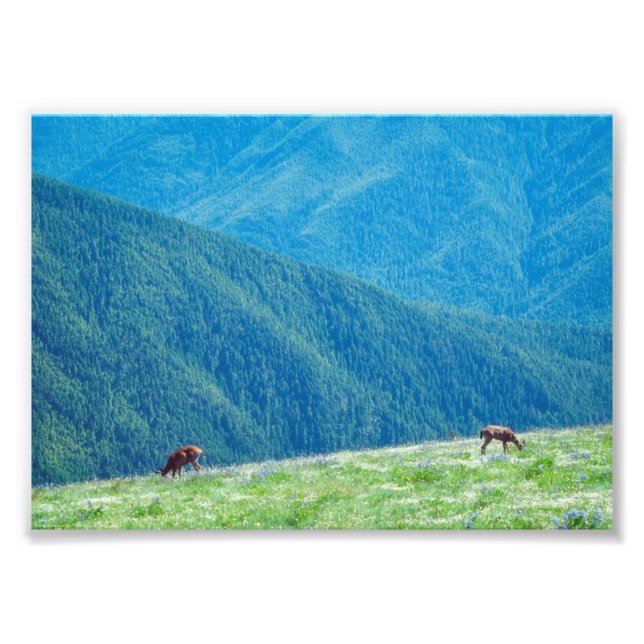 Foto Dinheiro das montanhas (Frente)