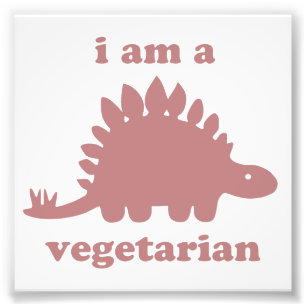Foto Dinossauro do Stegosaurus do vegetariano - rosa